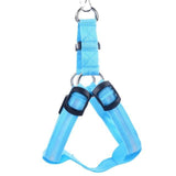 SafeWalk ™ LED Dog Harness Blue / XS