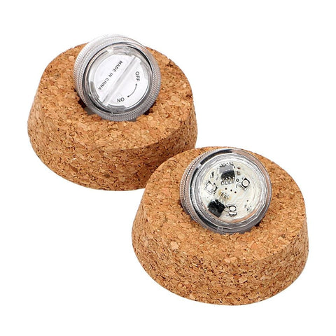 Illuminated Rose In a Bottle Light