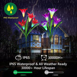 Lily Solar Garden Lights Purple