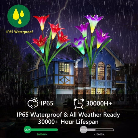 Lily Solar Garden Lights