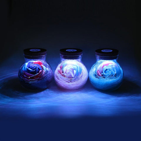 Illuminated Rose In a Bottle Light
