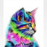 Abstract Colorful Cat Paint-By-Numbers Kit