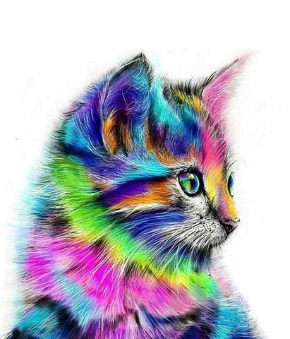 Picarts™ Abstract Colorful Cat Paint-By-Numbers Kit