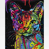 Colorful Mandala Cat Paint-By-Numbers Kit