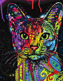 Colorful Mandala Cat Paint-By-Numbers Kit