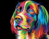 Rainbow Dog Paint-By-Numbers Kit