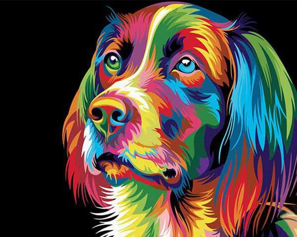 Picarts™ Rainbow Dog Paint-By-Numbers Kit