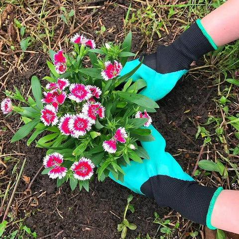 Claws Gardening Gloves