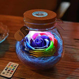 Illuminated Rose In a Bottle Light Purple
