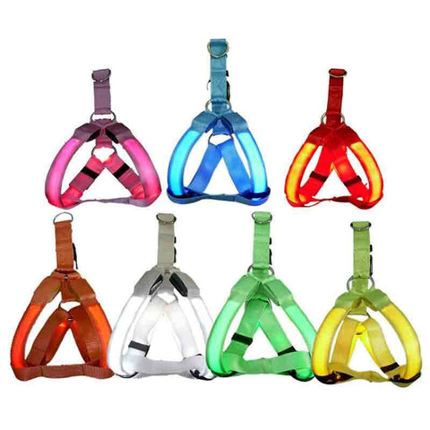 SafeWalk ™ LED Dog Harness