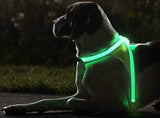 SafeWalk ™ LED Dog Harness