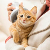 InstaRelax™ Multifunctional Electric Cat Head Massager