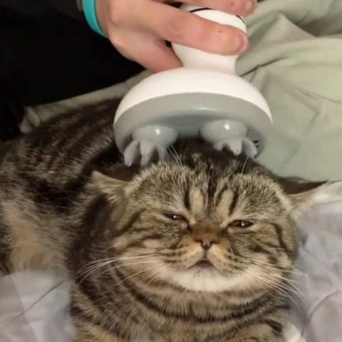 InstaRelax™ Multifunctional Electric Cat Head Massager
