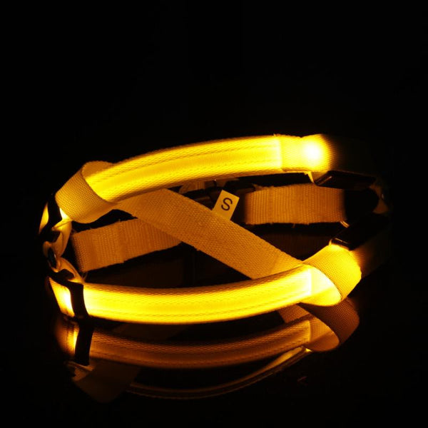 SafeWalk ™ LED Dog Harness