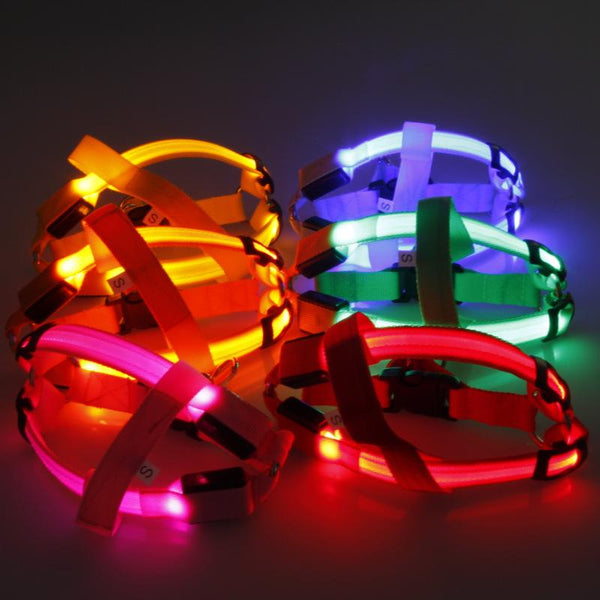 SafeWalk ™ LED Dog Harness