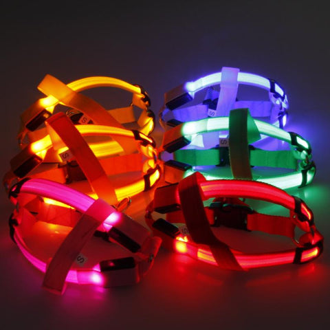 SafeWalk ™ LED Dog Harness