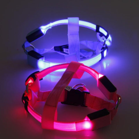 SafeWalk ™ LED Dog Harness