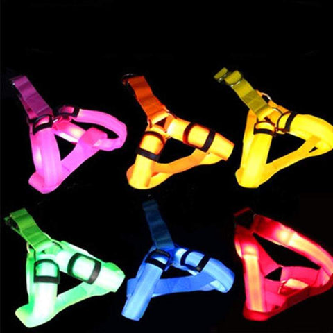 SafeWalk ™ LED Dog Harness