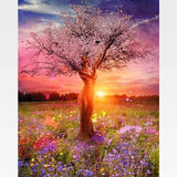 Peaceful Meadow Sunset Paint-By-Numbers Kit