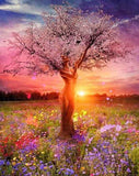 Peaceful Meadow Sunset Paint-By-Numbers Kit
