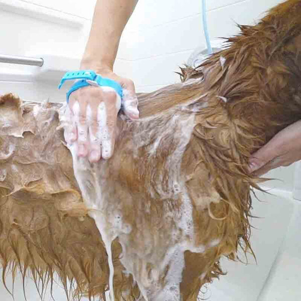 CleanPaw™ 2-In-1 Pet Shower Massager Bathing Tool