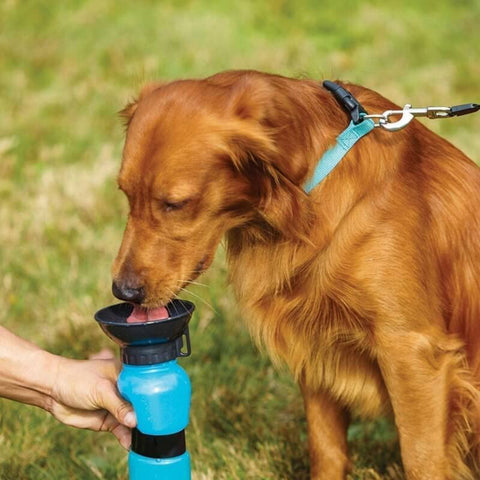 NinjaPaw™ Portable Doggy Water Bottle