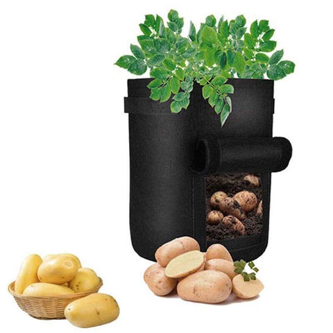 Potato Vegetable Grow Fabric Planter Bags – Simply Novelty