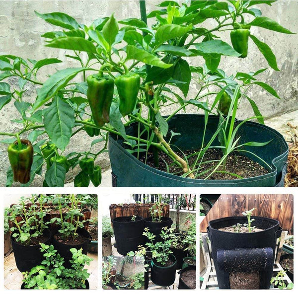 PlantPro™ Potato Grow Bag