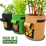 PlantPro™ Potato Grow Bag Variety Pack - Pack of 3 (All Colors)