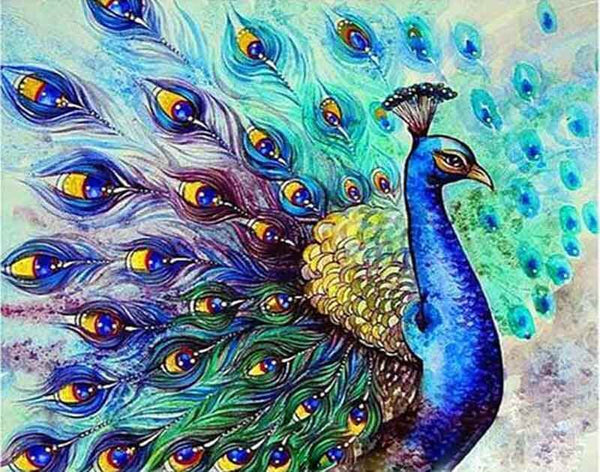 Proud Peacock Paint-By-Numbers Kit