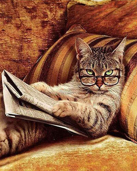 Picarts™ Reading Cat Paint-By-Numbers Kit