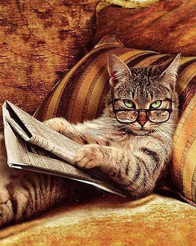 Picarts™ Reading Cat Paint-By-Numbers Kit