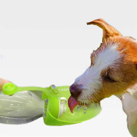 HydroLeaf™ Reversible Portable Pet Water Bottle Green
