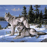 Snowy Wolves Paint-By-Numbers Kit