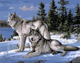 Snowy Wolves Paint-By-Numbers Kit