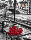 Venice Roses Paint-By-Numbers Kit