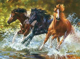Wild Horses Paint-By-Numbers Kit