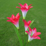 Lily Solar Garden Lights Red