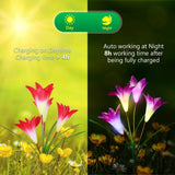 Lily Solar Garden Lights Purple