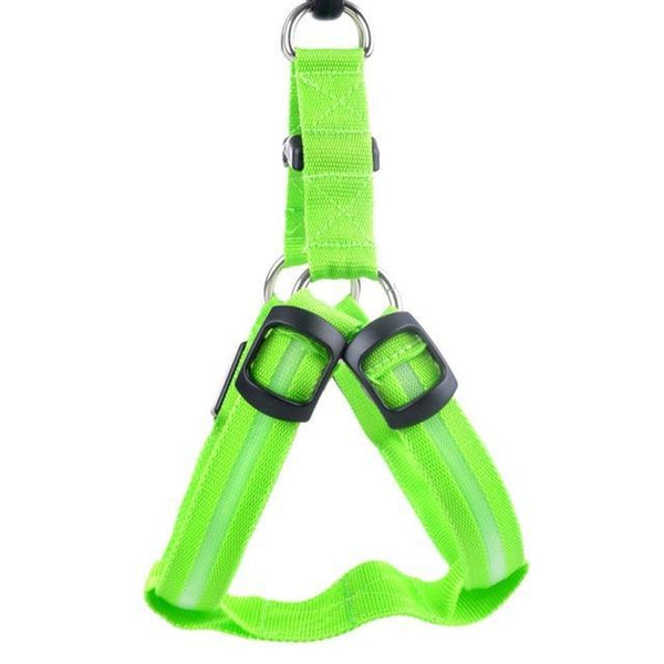 SafeWalk ™ LED Dog Harness Green / XS