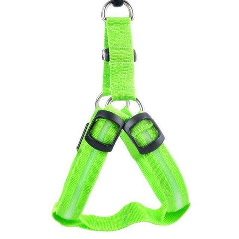 SafeWalk ™ LED Dog Harness
