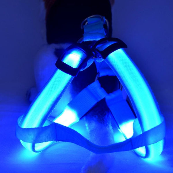 SafeWalk ™ LED Dog Harness
