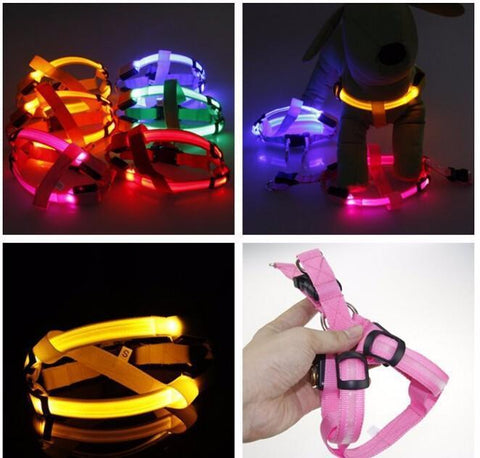 SafeWalk ™ LED Dog Harness