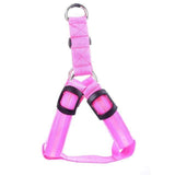 SafeWalk ™ LED Dog Harness Pink / XS