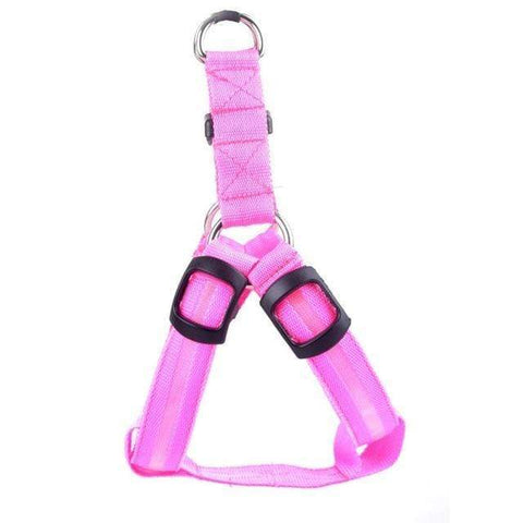 SafeWalk ™ LED Dog Harness