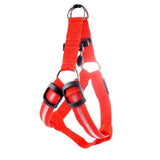 SafeWalk ™ LED Dog Harness Red / XS